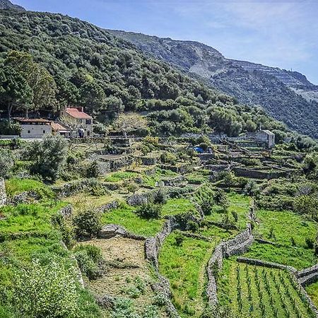 L'Auberge Du Chat Qui Peche Canari 외부 사진