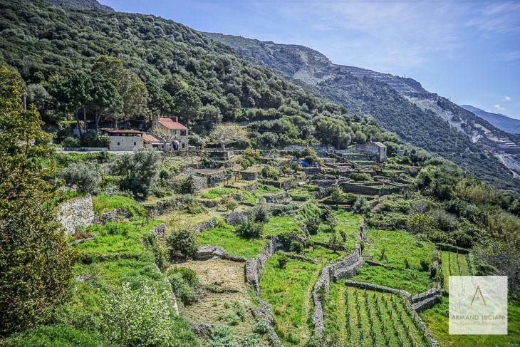 L'Auberge Du Chat Qui Peche Canari 외부 사진